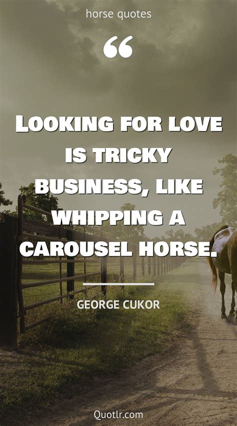 horse racing quotes|150 Horse Racing Quotes to Inspire and Uplift Your Winning Spirit.